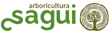 Logotipo_Sagui-01